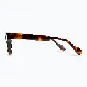 ROGER (DEMI) - Side.webp